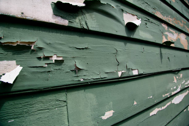 Same-Day Junk Removal Services in Mangonia Park, FL